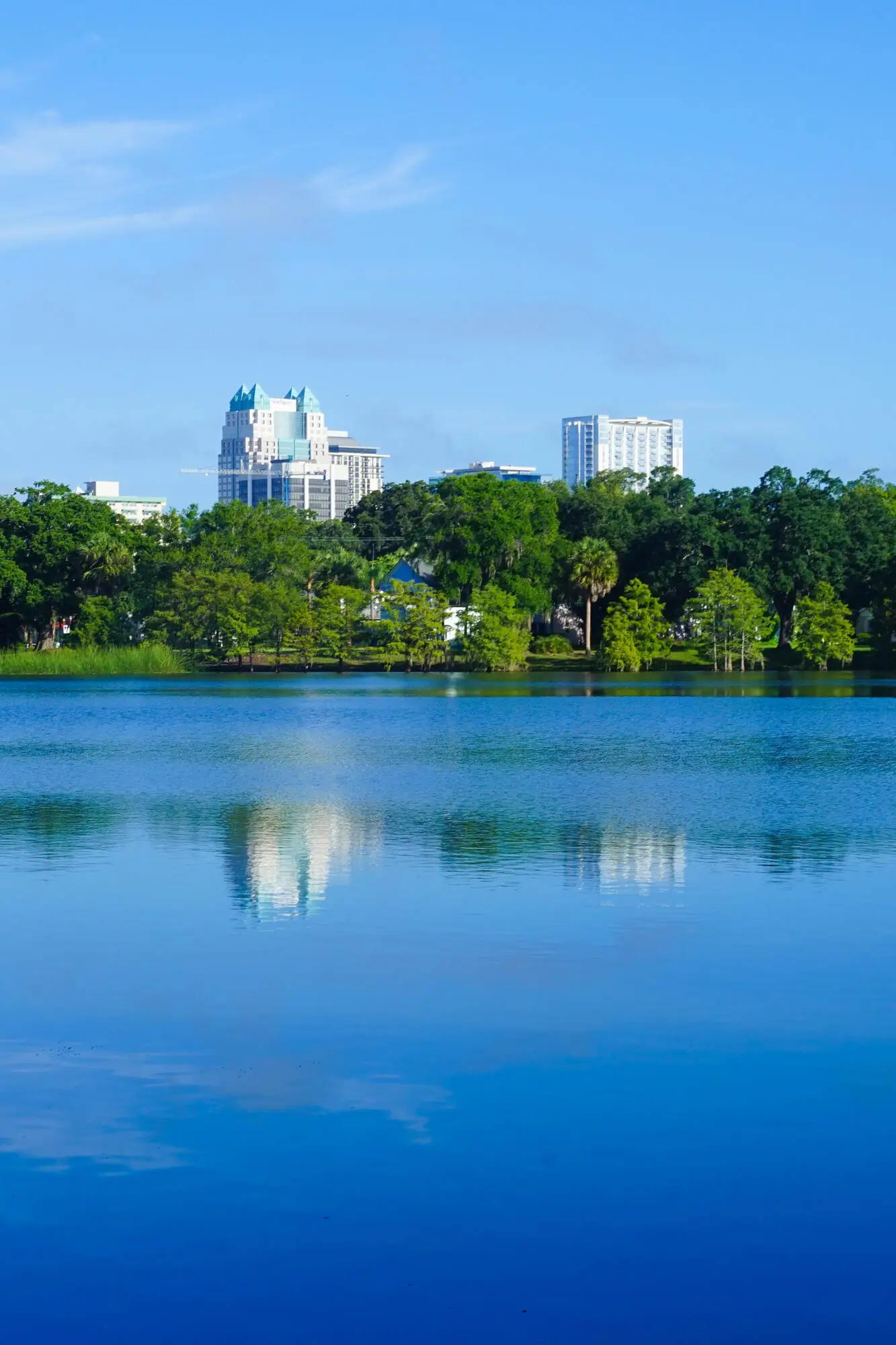 Effective Real Estate Marketing Strategies: Reaching Your Target Audience in Orlando, FL